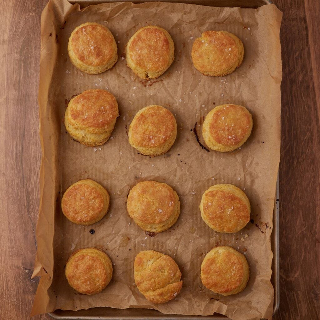 Freshly baked Sourdough Buttermilk Biscuits on a parchment lined sheet pan.
