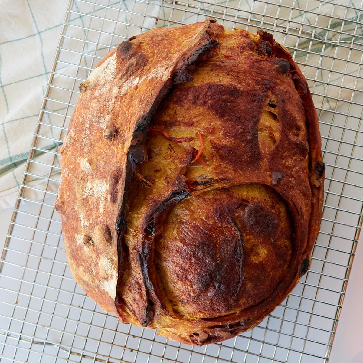 Baked loaf of carrot cake sourdough bread on a cooling rack.
