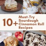 Sourdough Cinnamon Rolls, Sourdough Pumpkin Cinnamon Rolls. Sourdough Apple Crisp Cinnamon Rolls, Cookies and Cream Sourdough Chocolate Rolls.