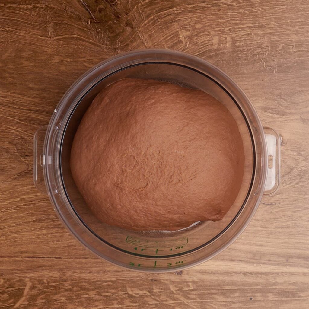 Dough for Cookies and Cream Sourdough Chocolate Rolls in a round container before bulk fermentation.