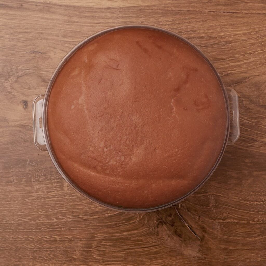 Dough for Cookies and Cream Sourdough Chocolate Rolls in a round container after the first rise.