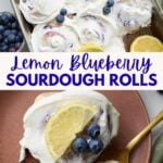 Lemon Blueberry Sourdough Rolls in a 9x13 pan with lemon cream cheese frosting and lemon slices and blueberries on top and one Lemon Blueberry Sourdough Rolls on a plate.