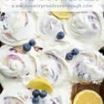 Lemon Blueberry Sourdough Rolls in a 9x13 pan with lemon cream cheese frosting and lemon slices and blueberries on top.