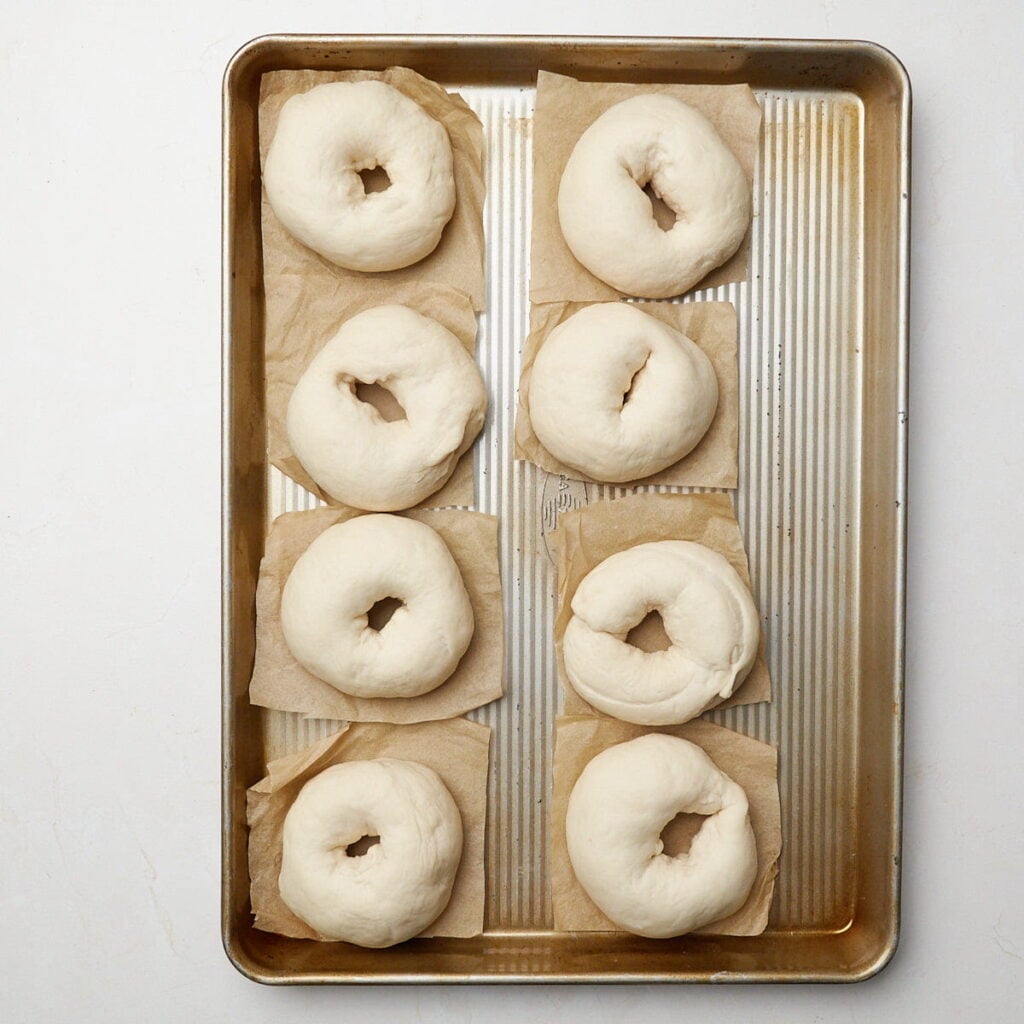 Sourdough discard bagels on a sheet pan after rising.