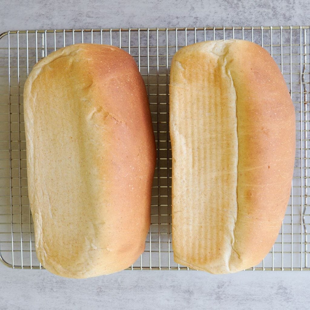 Two sourdough discard sandwich loaves on a cooling rack.