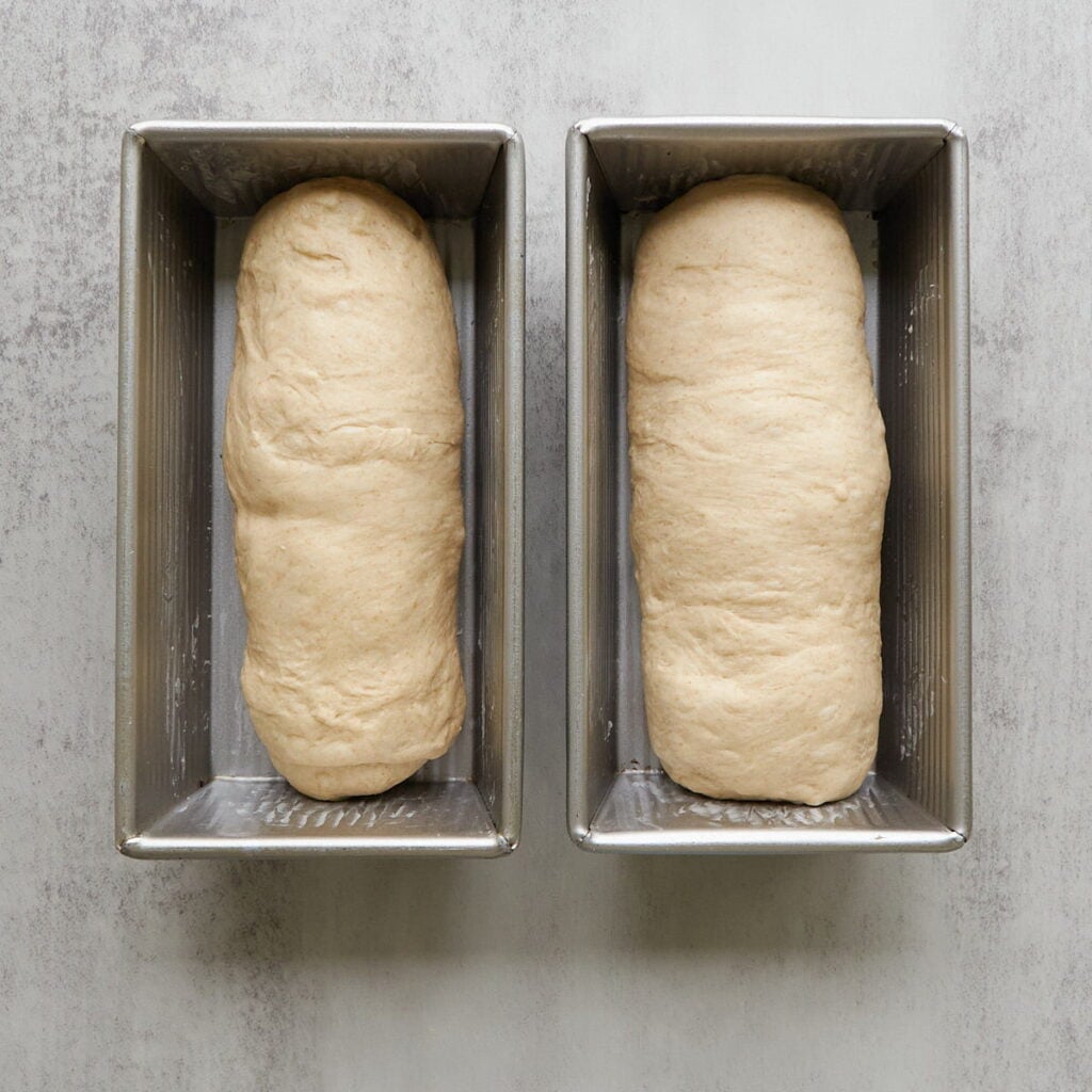 Dough for sourdough discard sandwich loaves in two loaf pans before the second rise.