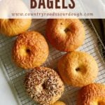Sourdough discard bagels on a wire cooling rack.