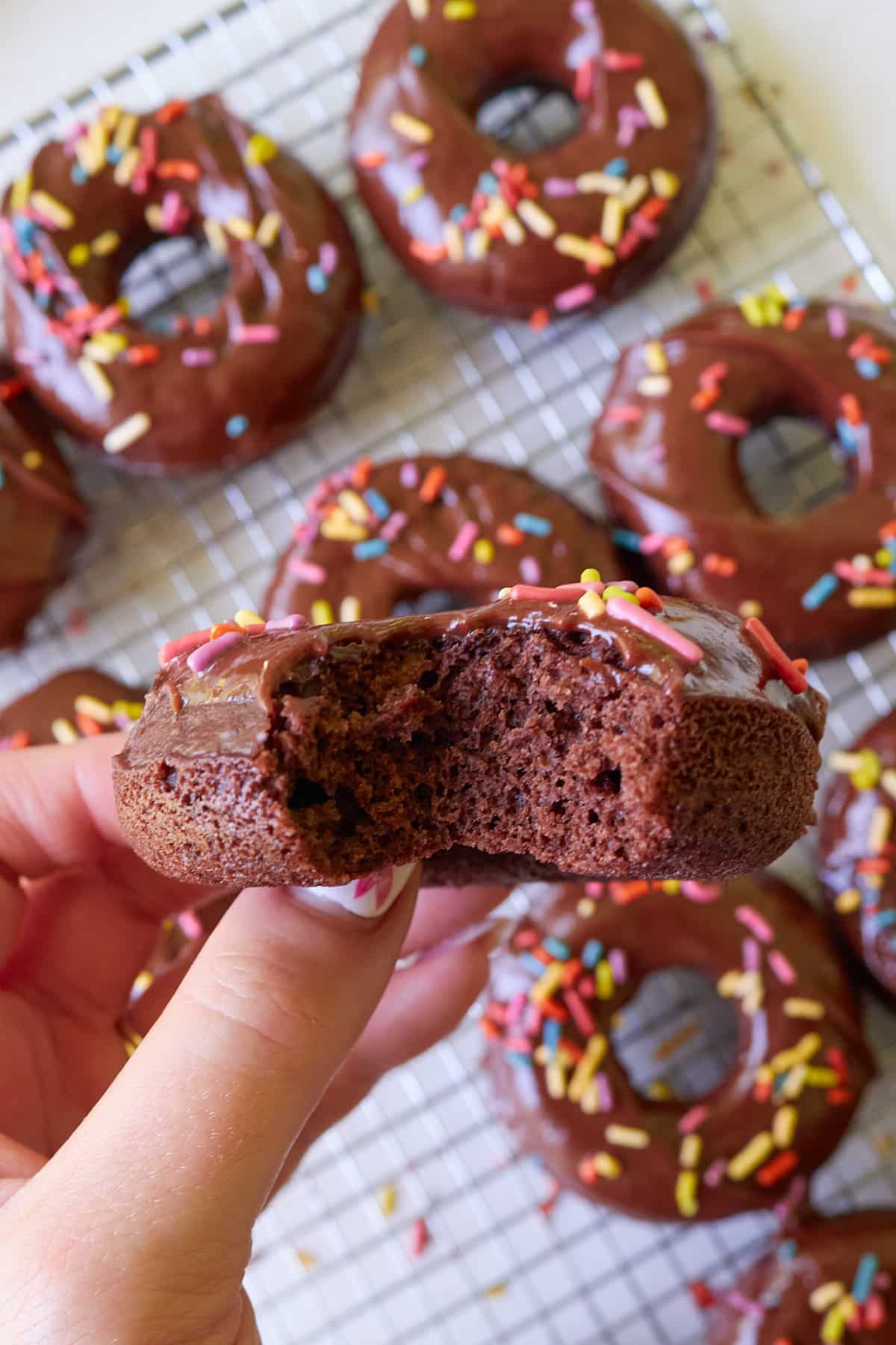 Baked sourdough chocolate donut being held with a bite taken out of it.