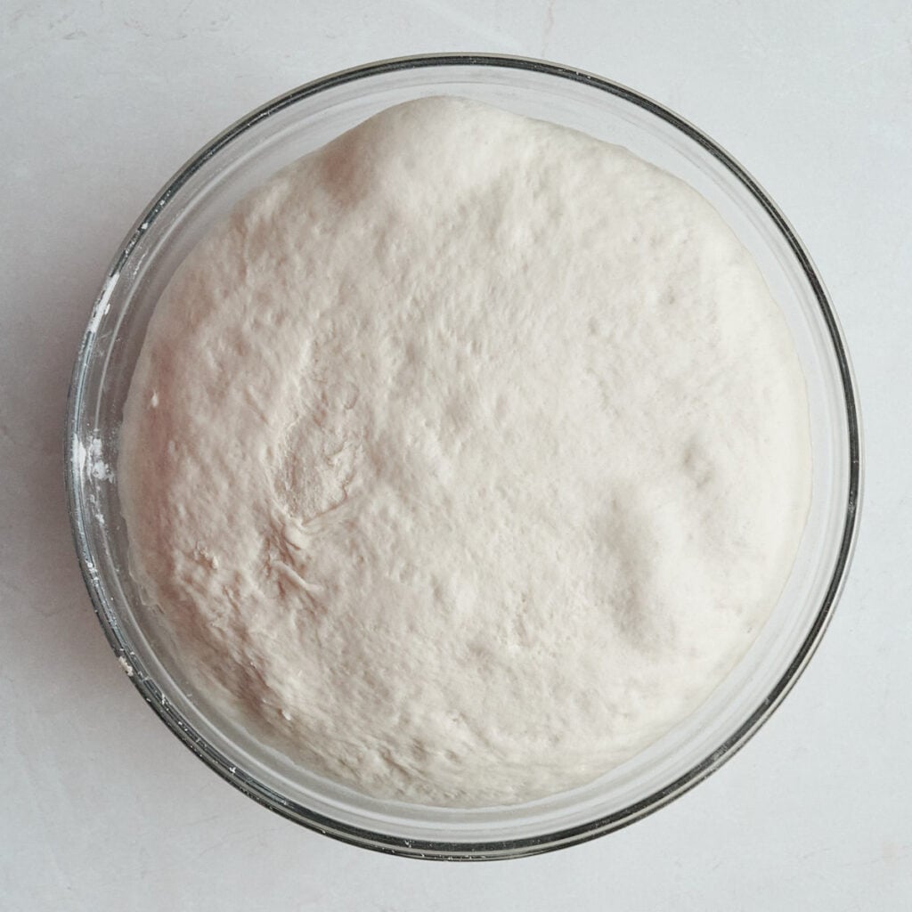 Dough for sourdough discard bagels in a straight-edge container after the first rise.