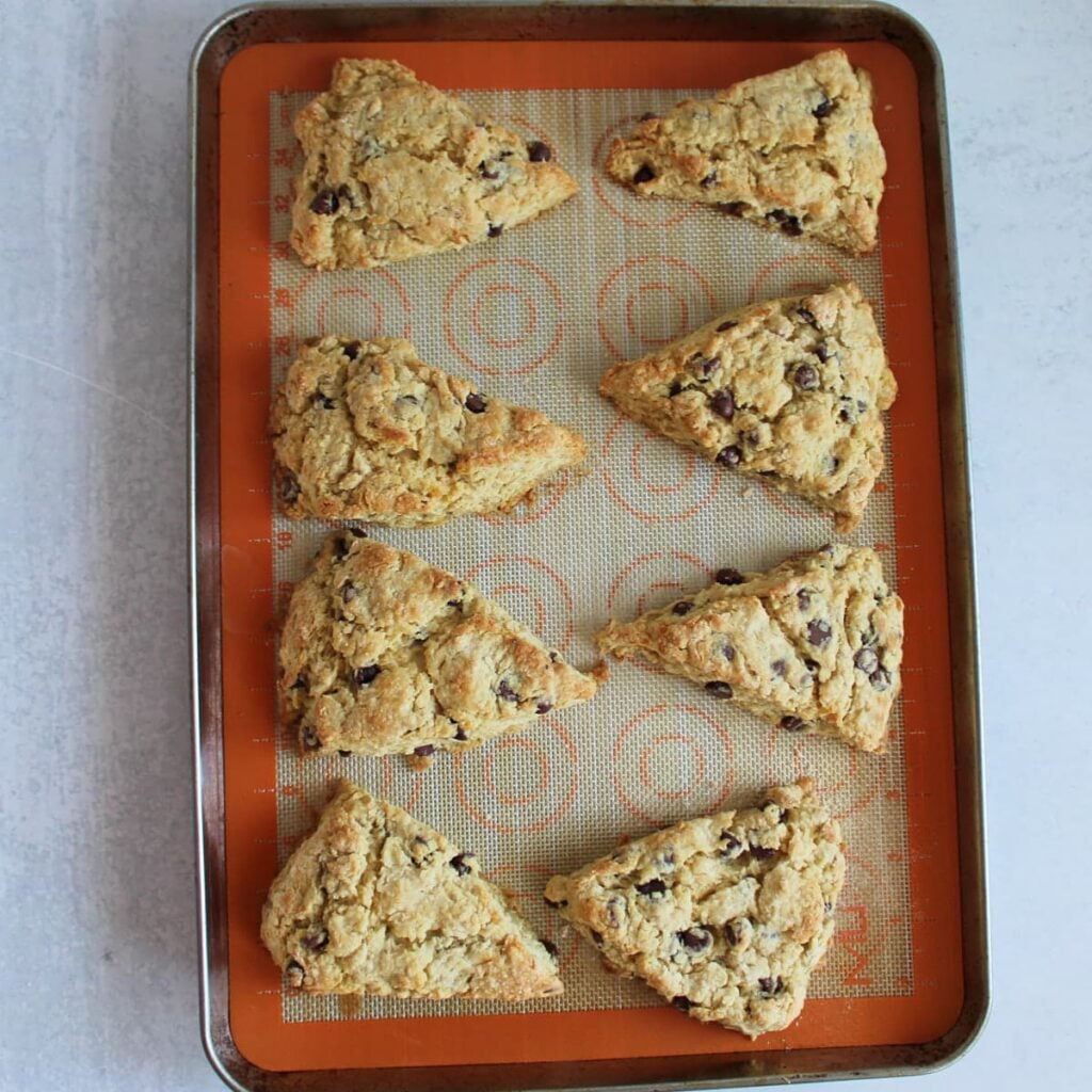 Freshly baked Chocolate Chip Sourdough Scones on a sheet pan lined with a silicone baking mat.