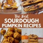 Sourdough Pumpkin Cinnamon Rolls, Sourdough Pumpkin Cinnamon Roll Focaccia, Sourdough Pumpkin Mini Muffins, Sourdough Pumpkin Chocolate Chip Cookies.