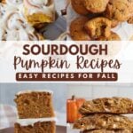 Pumpkin Sourdough Cinnamon Rolls, Sourdough Pumpkin Muffins, Sourdough Pumpkin Cake, Sourdough Pumpkin Scones.