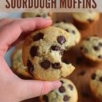 A hand holding a Chocolate Chip Sourdough Muffin with a bite taken out of it.