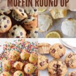 Sourdough Chocolate Chip Muffins, Sourdough Lemon Poppy Seed Muffins, Sourdough Mini Muffins, Sourdough Banana Muffins
