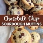 Chocolate Chip Sourdough Muffins on a wooden cutting board next to a white cloth napkin.