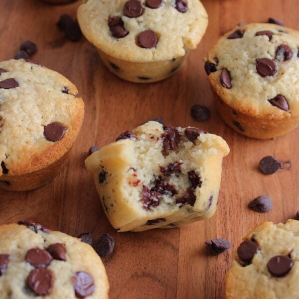 Chocolate Chip Sourdough Muffins on a wooden surface with one bite taken out of the muffin in the middle and chocolate chips sprinkled all around.
