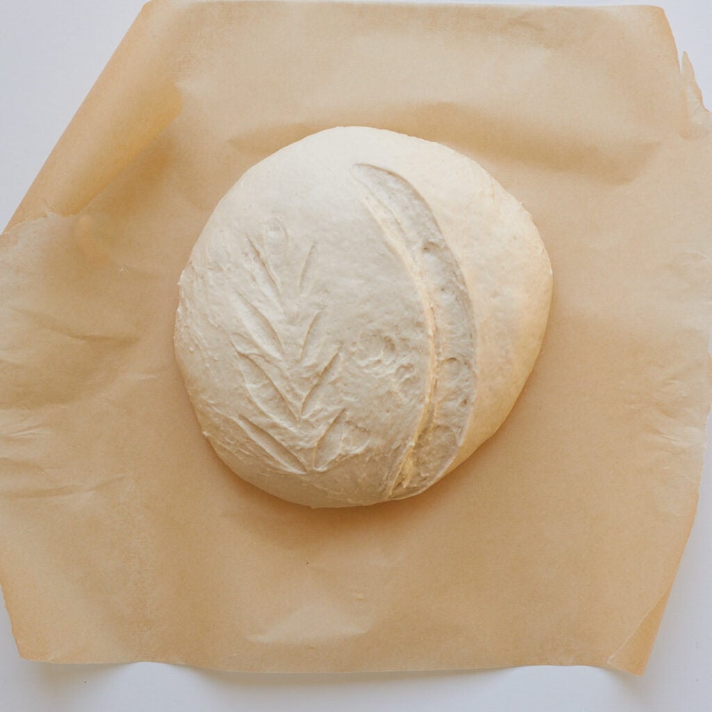 Dough for sourdough discard bread scored on a slice of parchment paper.