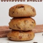 Three cinnamon raisin sourdough bagels stacked on top of each other.
