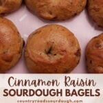Cinnamon Raisin Sourdough Bagels on a pink silicone mat.