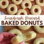 Maple glazed sourdough donuts on a wooden board and a hand holding a donut with a bite missing.