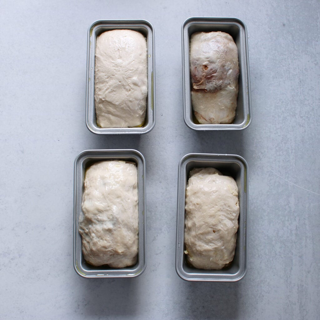 Four sourdough mini bread loaves in a mini loaf pans after the second rise.
