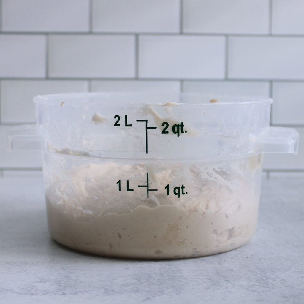 Sourdough mini bread loaves dough before first rise in a straight edged container.