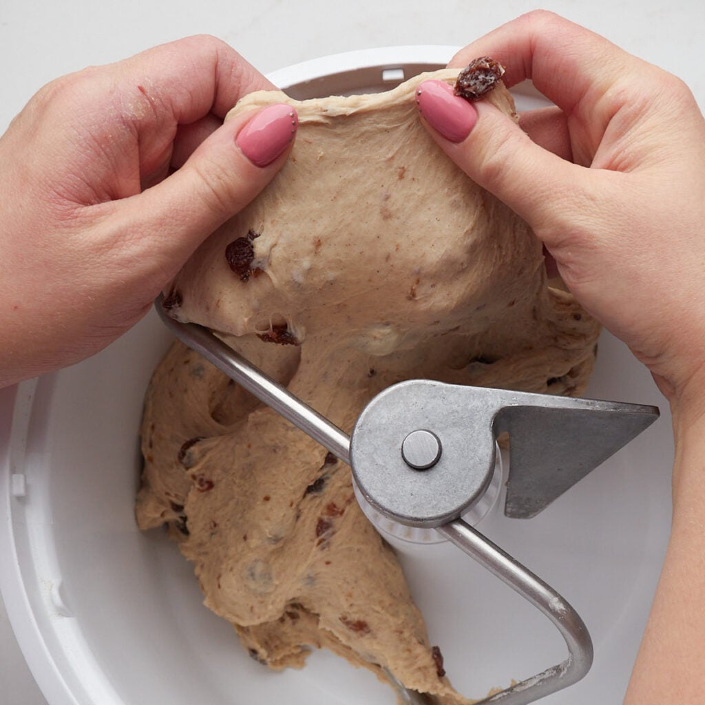 A hand pull out the dough of cinnamon raisin sourdough bagels to do the windowpane test.