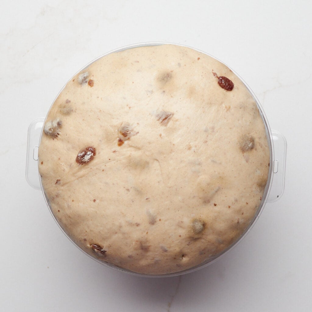 Dough for cinnamon raisin sourdough bagels after doubling in size during first rise.