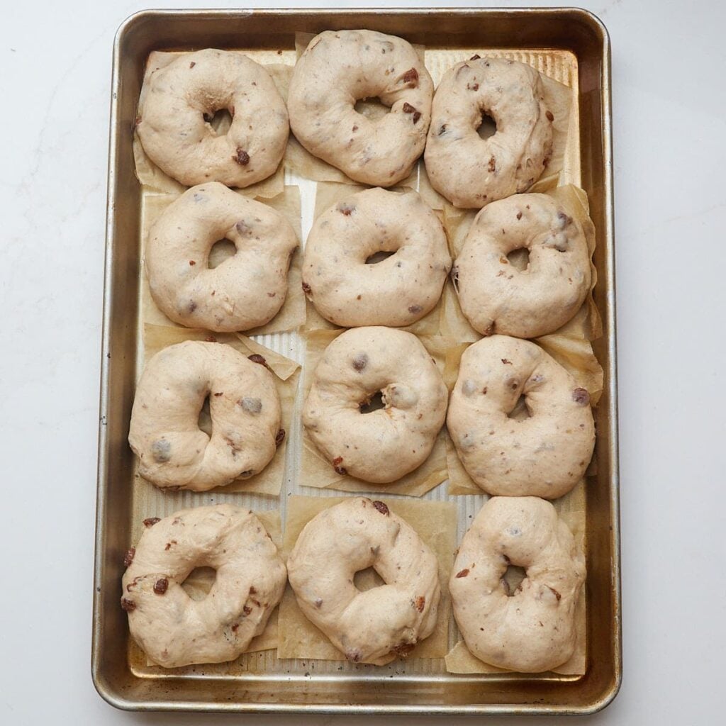 Cinnamon raisin sourdough bagels on square parchment paper on a sheet pan before second rise.