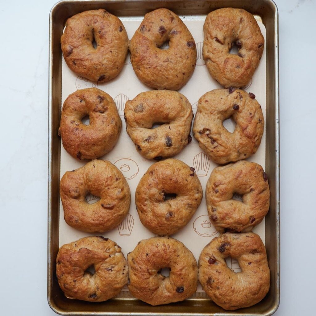 Freshly baked sourdough cinnamon raisin bagels freshly baked on a sheet pan.