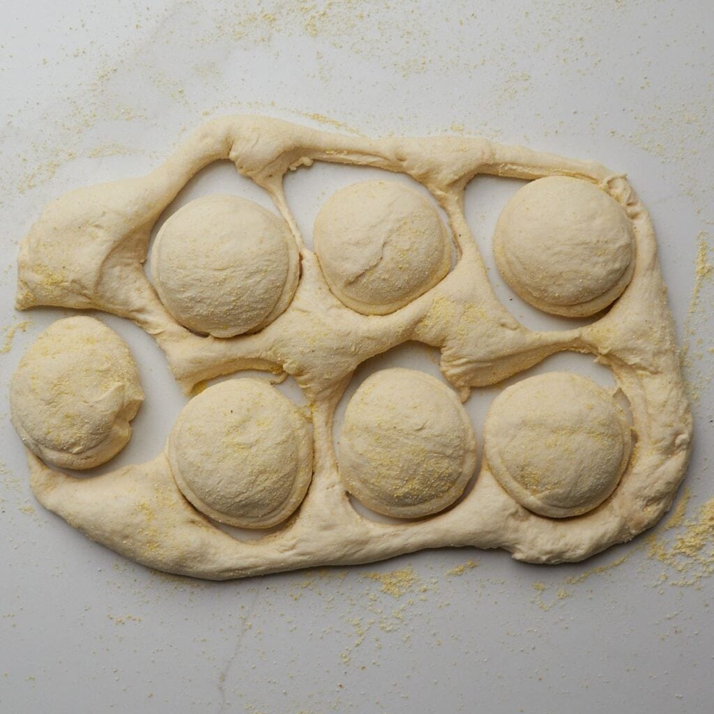Shaping Sourdough English Muffins dough with a mason jar lid.